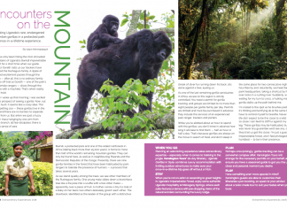 Gorilla tracking in Uganda gorilla tracking in Uganda