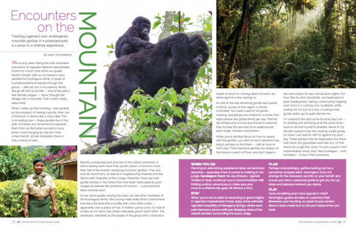 gorilla tracking in Uganda