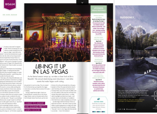 LIB-ing it up in Las Vegas LIB festival Las Vegas