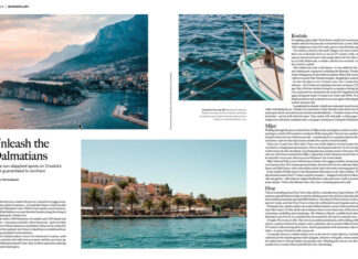 Unleash the Dalmatians Dalmatians